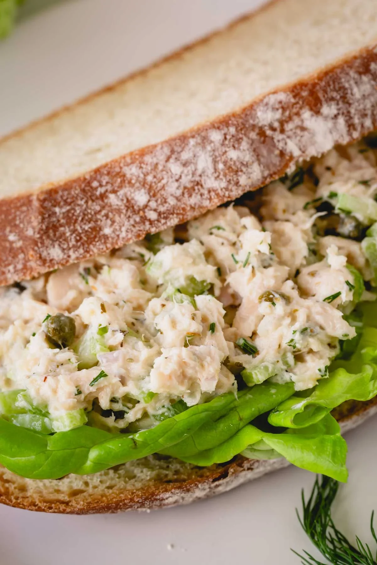 Chicken / Tuna Sub